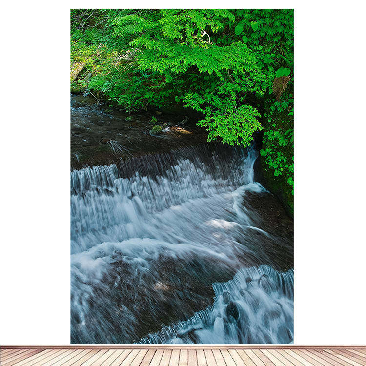 湖泊山水自景海报自粘贴纸装饰画客厅办公室背景墙松树河水画