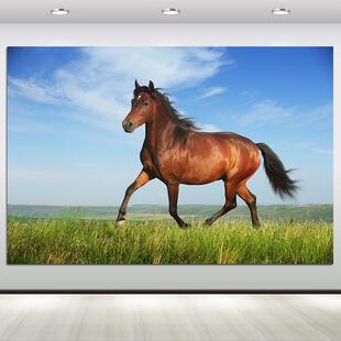 骏马海报一匹马吃草的马动物画卧室宿舍装饰墙画贴画定制