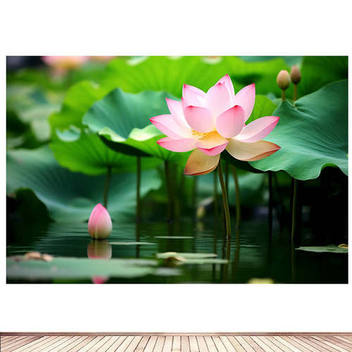 并蒂莲花莲花荷花装饰画荷叶自然风景海报画小清新贴墙定制16