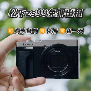 出租松下LUMIX ZS99长焦相机 演唱会神器卡片机便携数码拍摄 免押