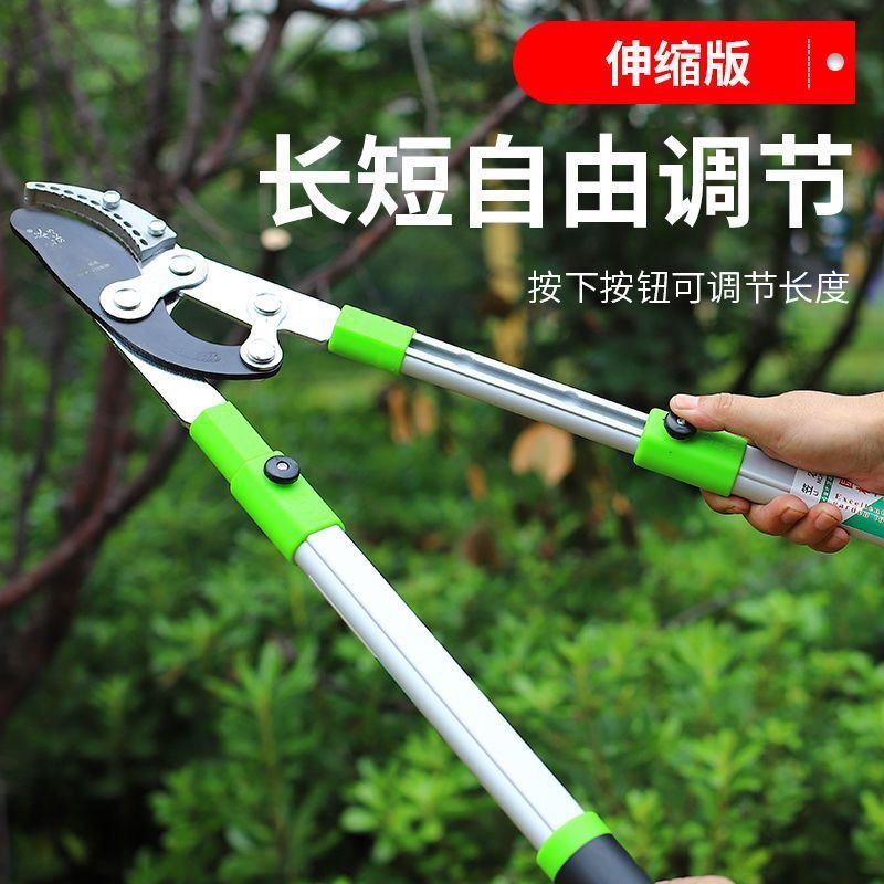 修树枝剪刀粗枝专用大剪子苹果树花椒葡萄高枝伸缩杆省力花园林艺