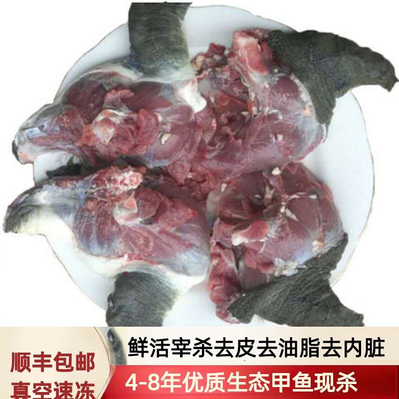老甲鱼5年散养生态公甲鱼杀好的甲鱼现杀甲鱼肉新鲜水鱼锁鲜真空,水产肉类/新鲜蔬果/熟食,甲鱼,淘宝优惠券,粉丝福利购,淘宝优惠卷