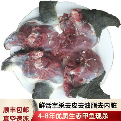 5年散养公甲鱼杀好的甲鱼