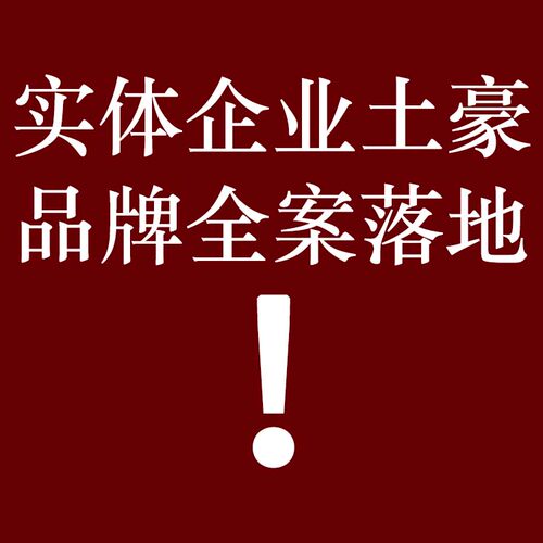 品牌全案落地logo设计实际落地操盘经验资深策划师跨境电商建站