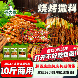 烧烤专用调料孜然撒料淄博烧烤孜然椒盐粉烤肉蘸料腌料调味料商用