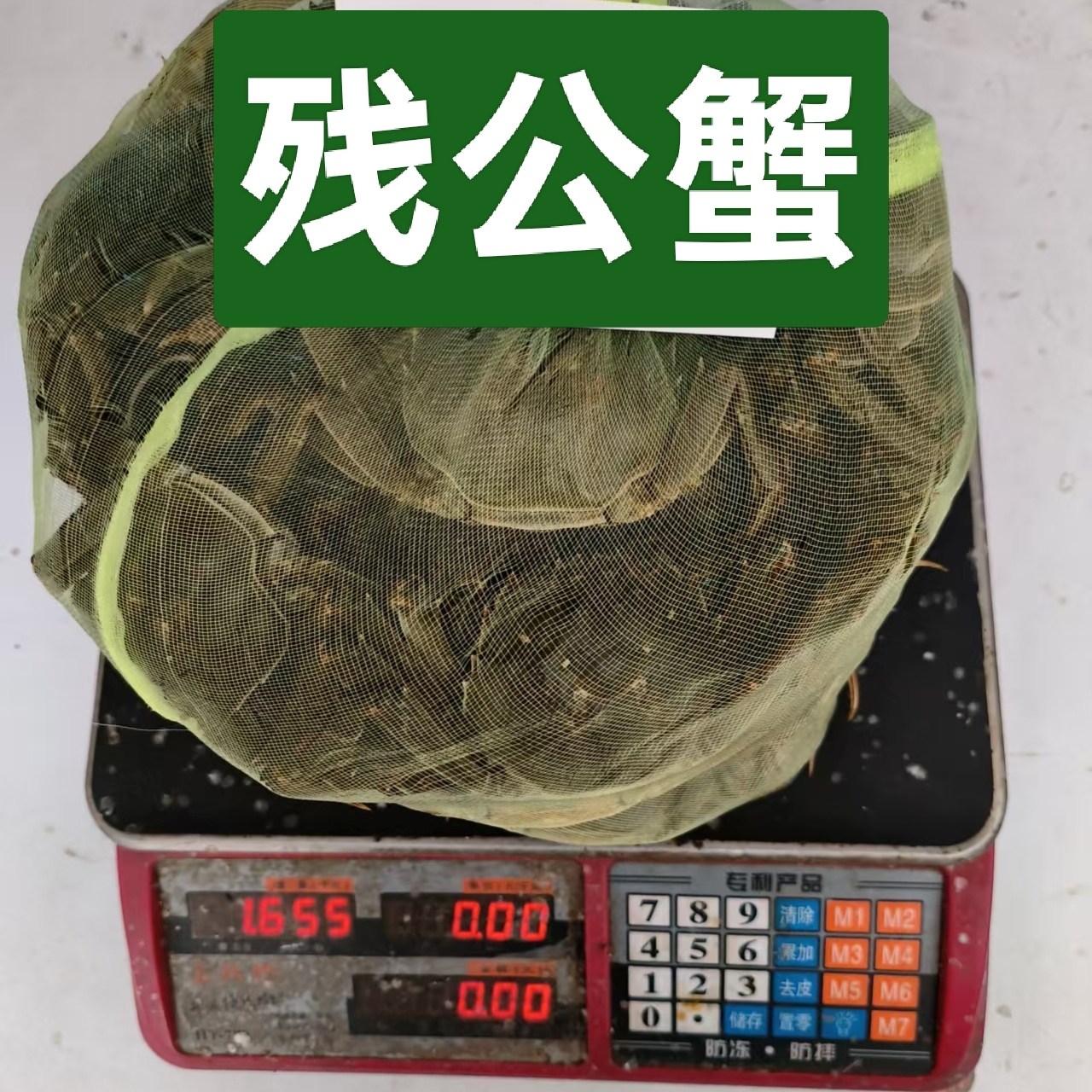 鲜活兴化大闸蟹精品断腿残公两3.3～4.3两公蟹,水产肉类/新鲜蔬果/熟食,大闸蟹,淘宝优惠券,粉丝福利购,淘宝优惠卷
