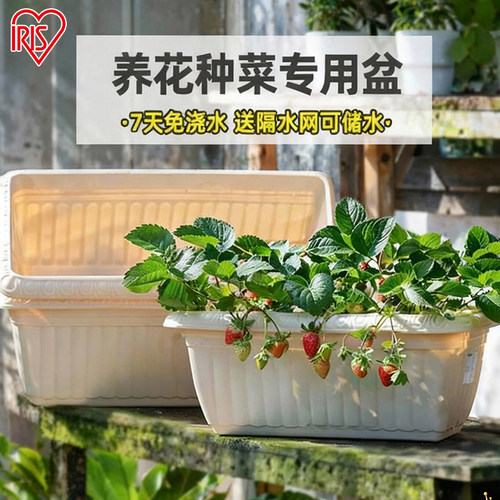日本爱丽思花盆塑料特大号长方形阳台种菜盆草莓盆栽爱丽丝种植箱 - 封面