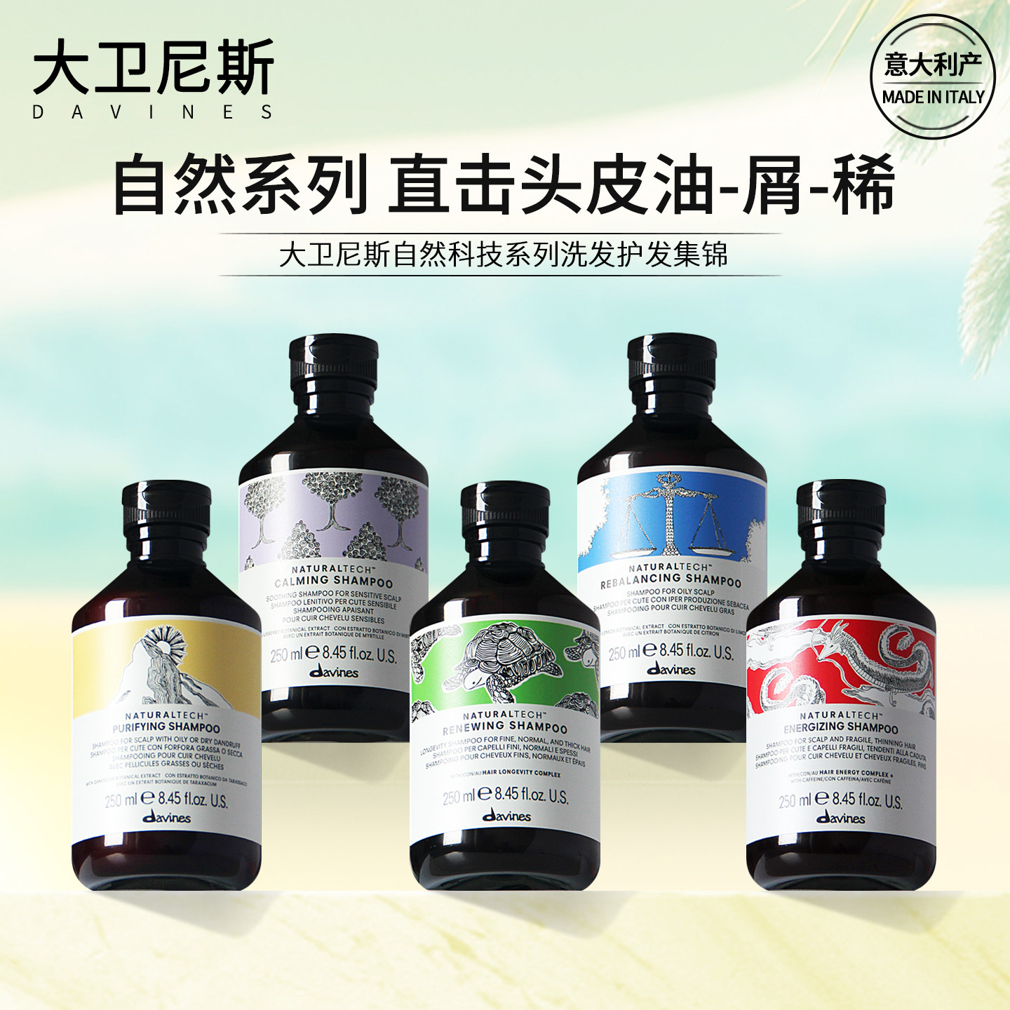 大卫尼斯自然洗发水护发素清爽平衡控油去屑活力舒缓焕活进口 - 实物图