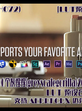 (SH072)100个灰猩猩(greyscalegorilla)2020LUT预设合集 支持AEPR