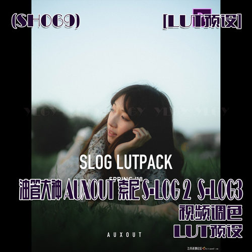 (SH069)油管大神AUXOUT索尼S-LOG 2  S-LOG3视频调色LUT预设