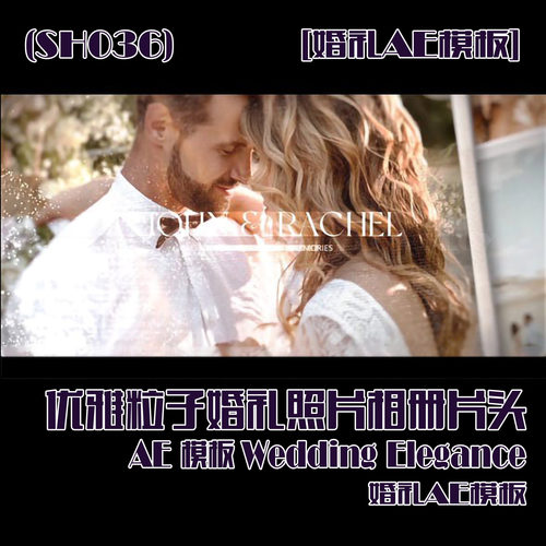 (SH036) 优雅粒子婚礼照片相册片头AE模板-Wedding Elegance