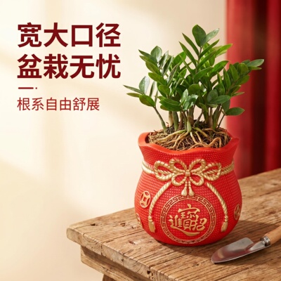 简约中式花盆福袋盆塑料大肚盆圆形大花盆客厅绿植种植花卉红色