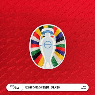 欧洲杯 2023/24 普通章 Foundation章 国家队预选赛正赛臂章
