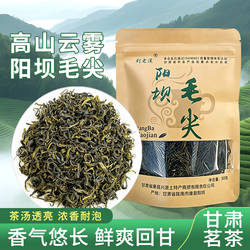 阳坝毛尖刘老汉甘肃陇南绿茶茶叶自己喝袋装高山绿茶散装2026新茶