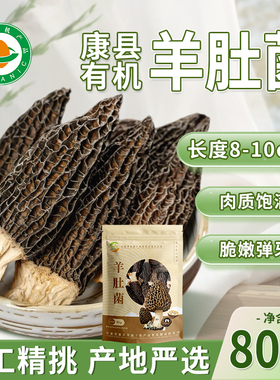 康县羊肚菌甘肃陇南有机羊肚菌干货羊肚菇土特产菌菇煲汤炖汤食材