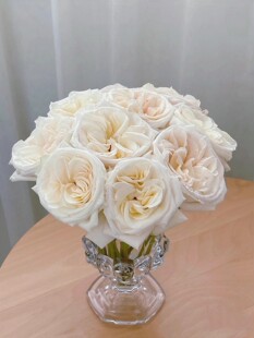 白荔枝扦插苗 切花玫瑰花苗 果香浓香 勤花大花月季 绿植盆栽