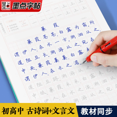 墨点字帖楷书练字本初中生古诗文