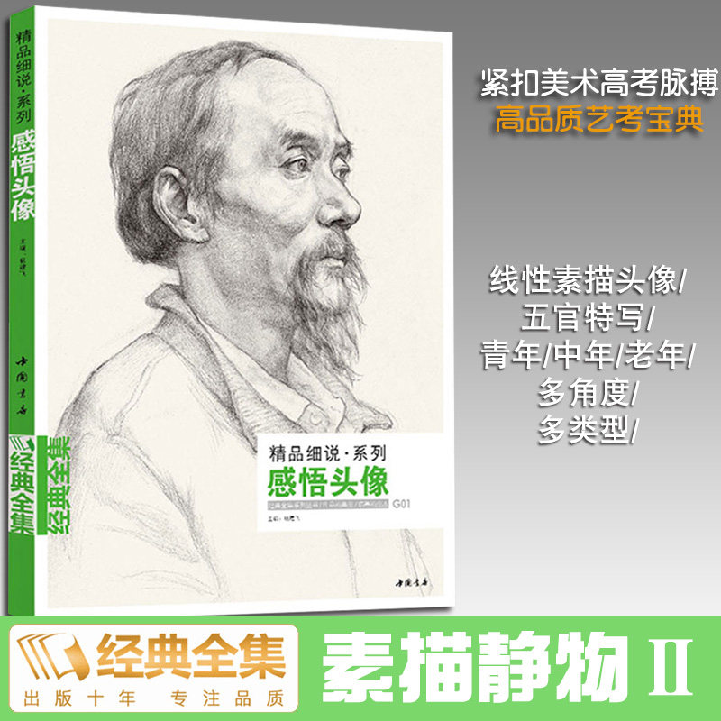 经典全集感悟头像人物临摹范本教程书青年中年老年杨建飞主编名师大合集画照片线描线性结构体块明暗解析素描头像教材教程书正版