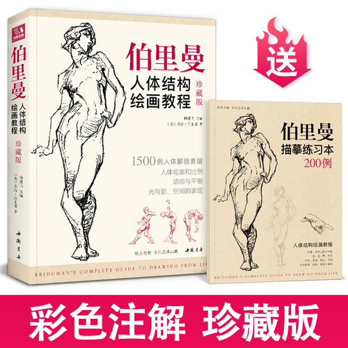 伯里曼人体结构绘画教程珍藏版教学人物速写入门基础绘画临摹书籍透视技法自学头像美术艺术手绘教材1500例人体解剖素描杨建飞主编