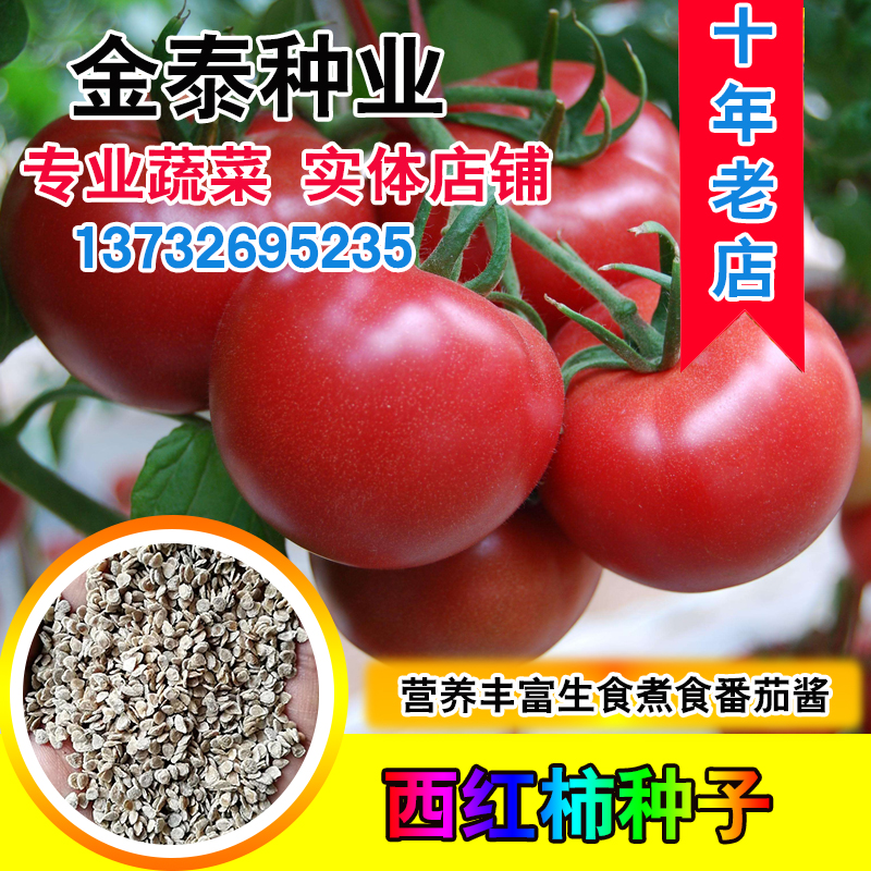 蔬菜散装西红柿高产庭院番茄种子