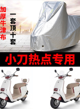 适用小刀热点TDT24322Z电动车防晒车衣XD1000DQT-55遮阳防水罩