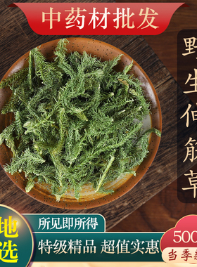 中药材特级野生伸筋草500g正品舒筋草另售海风藤远志益智仁透骨草