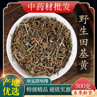 中药材精选野生田基黄500g克正品新货干地耳草黄花草雀舌草田基王