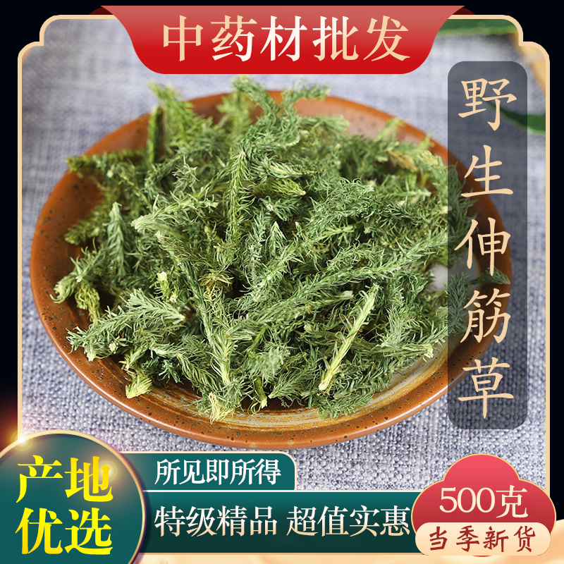 正品野生伸筋草中药材500g