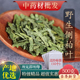 中药材精选侧柏叶侧伯叶粉扁柏叶新鲜干货洗发500克g侧柏叶碳