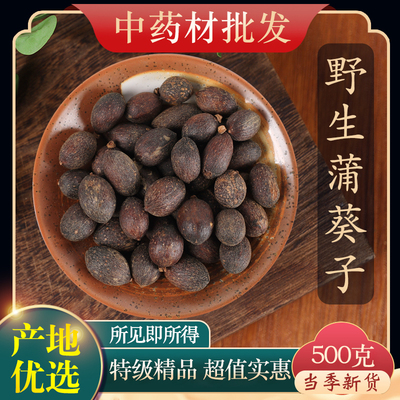 中药材特级野生蒲葵子500克正品