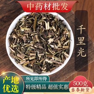 中药材精选野生千里光九里明 九里光 黄花母一扫光新货中草药500g