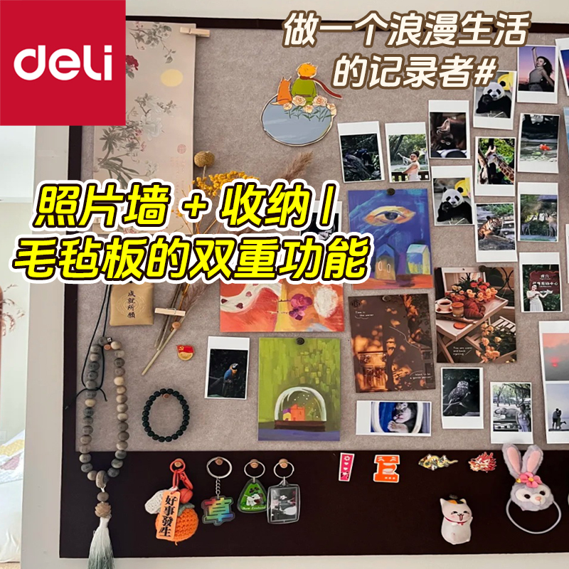 【免打孔不伤墙】送工字钉