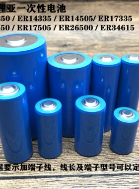 ER14250 14335 17335 26500 34615锂亚3.6V水电油表电池 不可充电