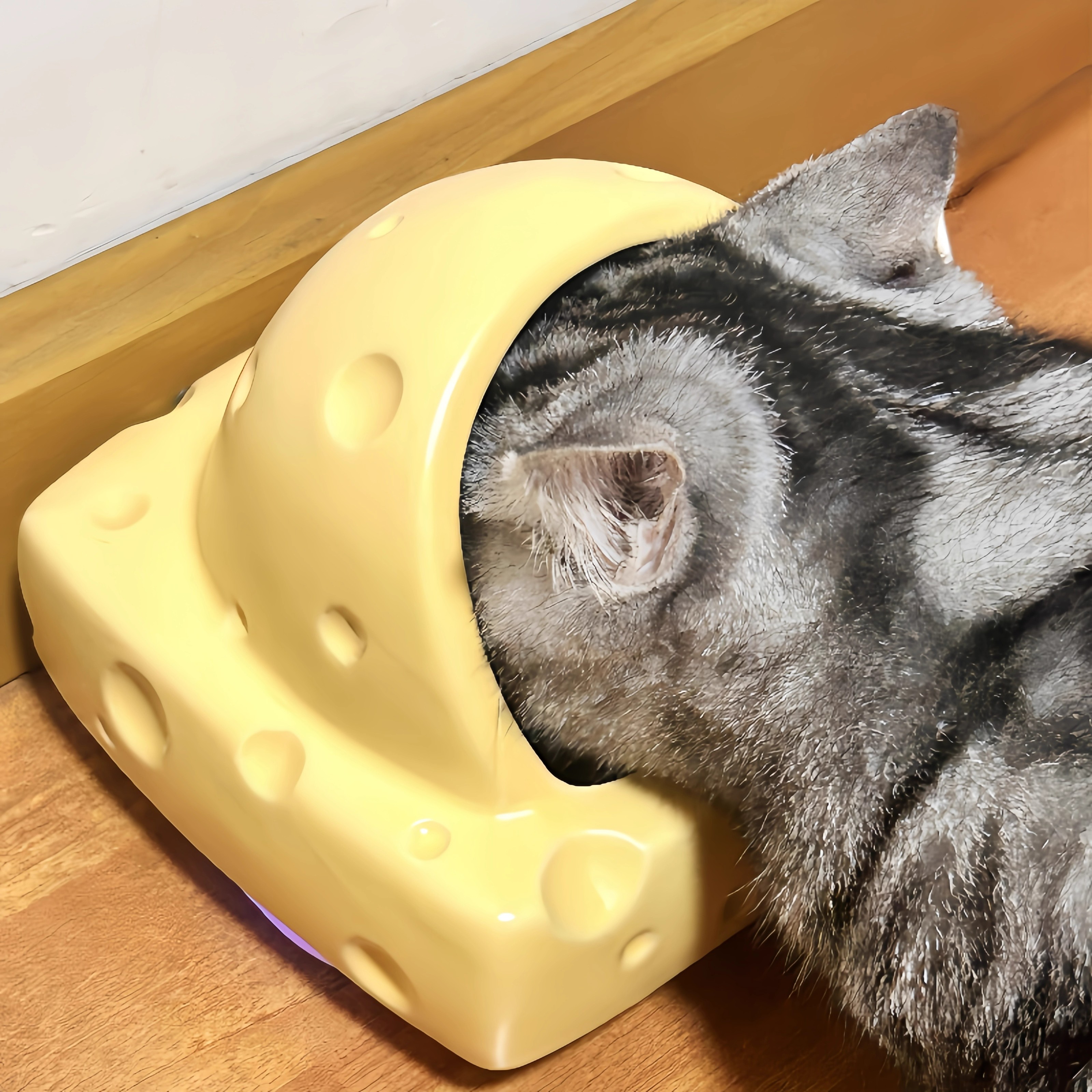 奶酪猫碗陶瓷猫咪喝水碗不易打翻防黑下巴保护颈椎防溅水宠物通用
