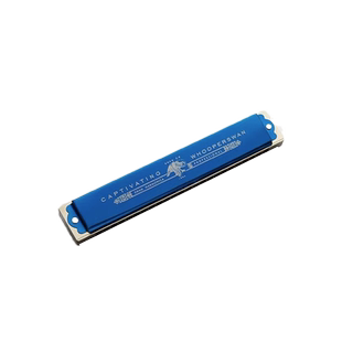 进口音簧高端送礼口琴乐器24孔复音初学者28孔重音成人专业演奏级