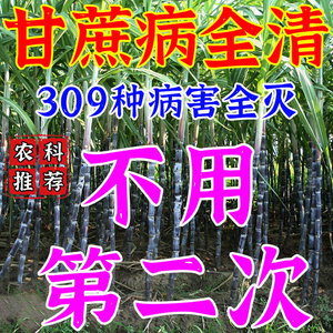 甘蔗专用药锈病枯叶病叶黄钻心虫
