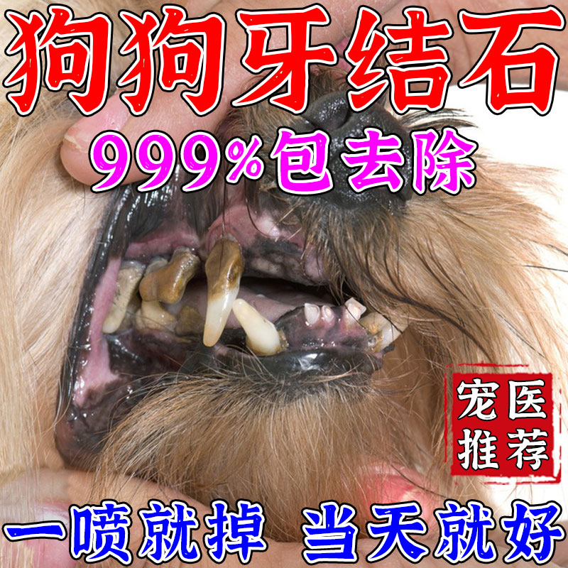 狗狗牙结石去除器牙石速效溶解