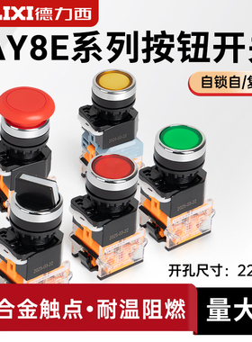 德力西LAY8E(LA38)-11BN按钮开关按压式带自锁启动停止自复位点动