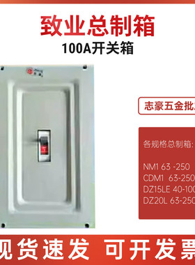 致业100A总制箱250A塑壳开关箱DZ20L布线箱 强电箱NM10铁箱DZ15LE