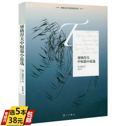 【5本38】屠格涅夫中短篇小说选 外国文学名著名译丛书书籍