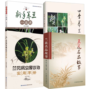 兰花名品故事 兰花病虫害诊治实用手册图解养兰技艺一本就够从新收到高手学养兰独家经验书籍 4册 四季 养兰要诀 新手养兰一本通