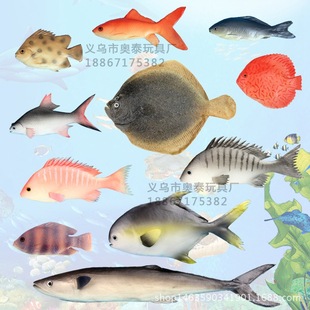 仿真鱼PU假鱼静态模型红灰鱼热带鱼鲫鱼扁鱼金枪鱼海洋生动物