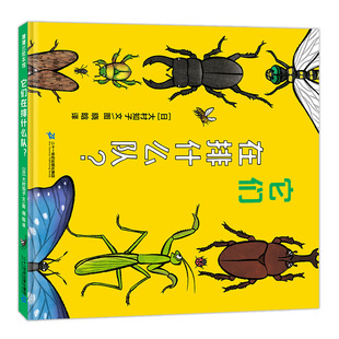 它们在排什么队？——精装 2岁以上 昆虫形态认知 自然生命 大村知子 幼儿园读物 睡前故事 蒲蒲兰绘本馆旗舰店