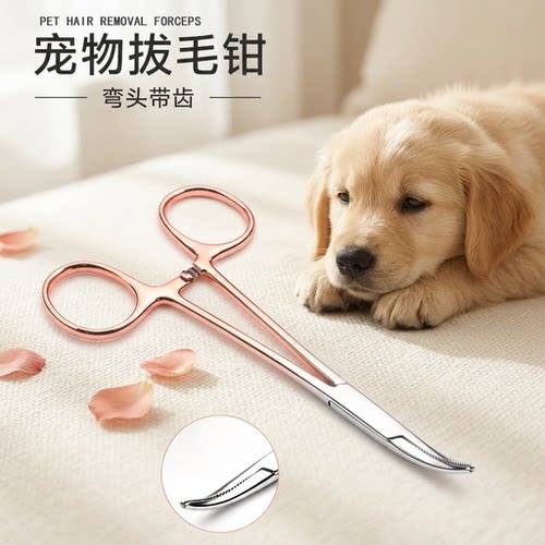 玫瑰金色止血钳宠物狗狗猫拔毛钳子去除耳毛钳耳朵清洁钓鱼摘钩器
