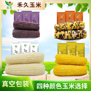 黄糯240g 彩糯200g 禾久 黑糯180g 10根糯玉米 白糯300g