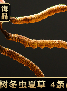 青海玉树4700米海拔冬虫夏草4条/克冬虫草那曲礼盒a99f7420-3