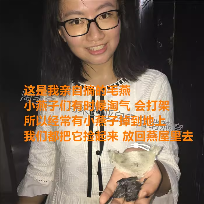 马来西亚纯天然燕角燕窝孕妇小孩滋补营养佳品10克雨季金丝燕干挑