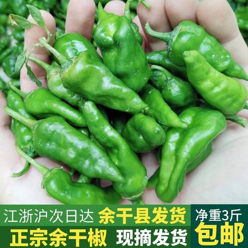 10斤正宗余干小辣椒新鲜江西辣椒余干枫树农家土辣椒薄皮青椒1斤