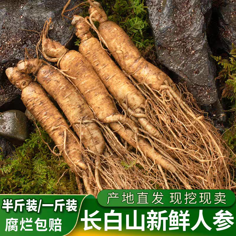 鲜人参长白山人参正宗东北现挖整枝带土湿人参批发特大人参超大号