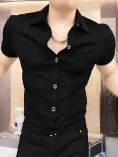 夏季 时尚 修身 帅气半袖 潮流男士 衬衣黑色透气T休闲商务上装 POLO衫